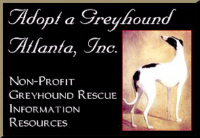 Adopt a Greyhound! Atlanta, GA